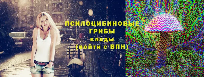 Псилоцибиновые грибы MAGIC MUSHROOMS  где купить наркоту  Правдинск 